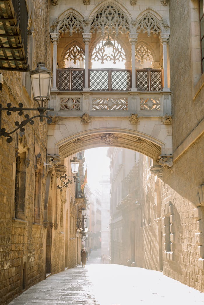 Captivating Gothic footbridge in Barcelona's historic district under the warm sunlight.